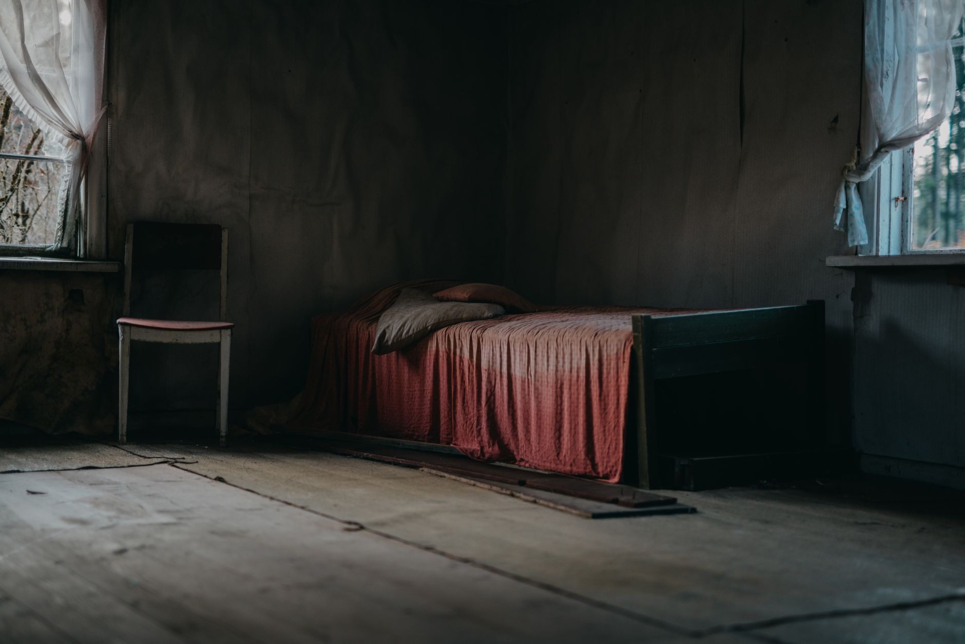 Traitement punaises de lit à Meaux